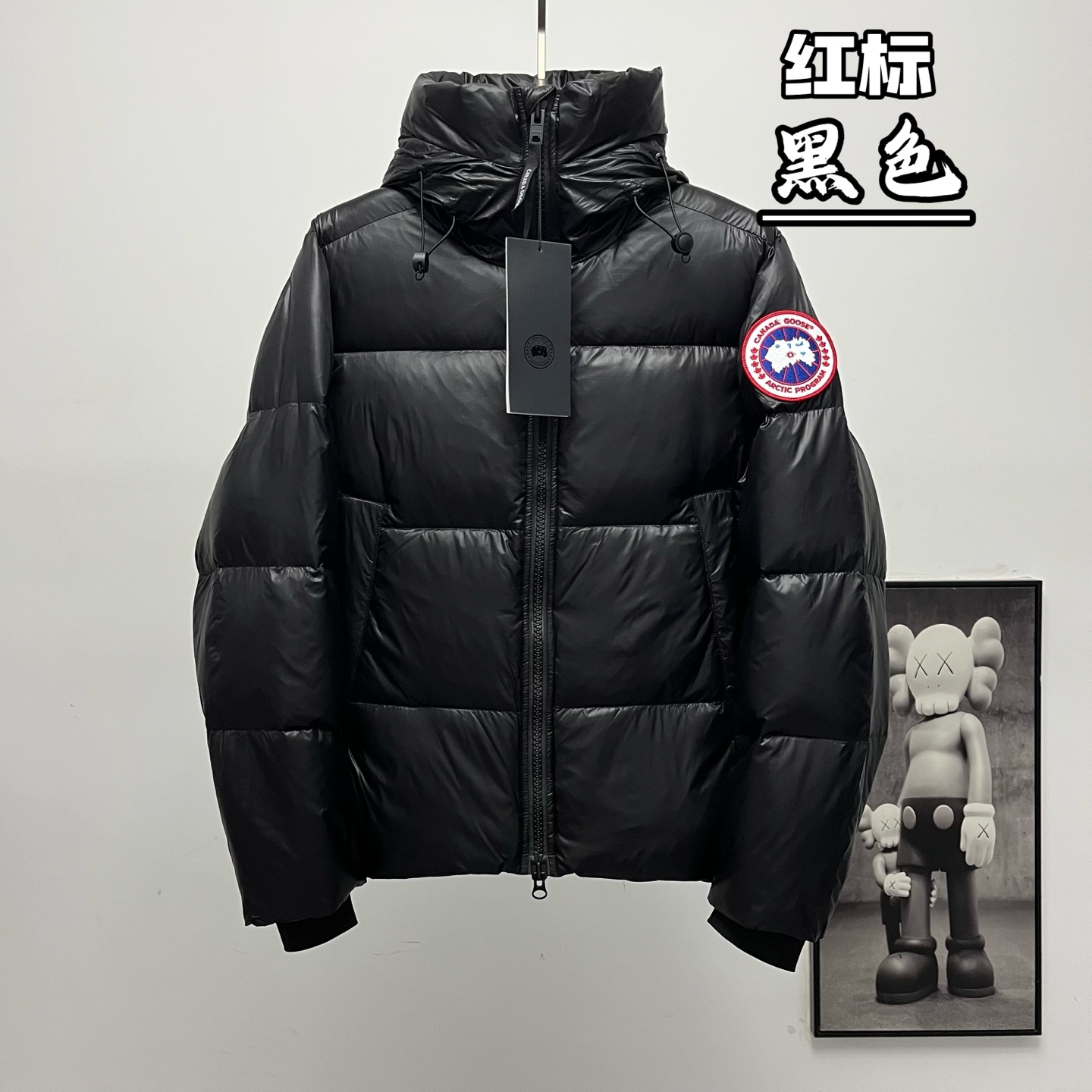 down jacket Men's